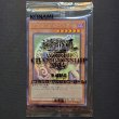 画像3: 【美品】ブラック・マジシャン・ガール＆青眼の亜白龍＆死者蘇生 WCS2017 当選通知付 (3)